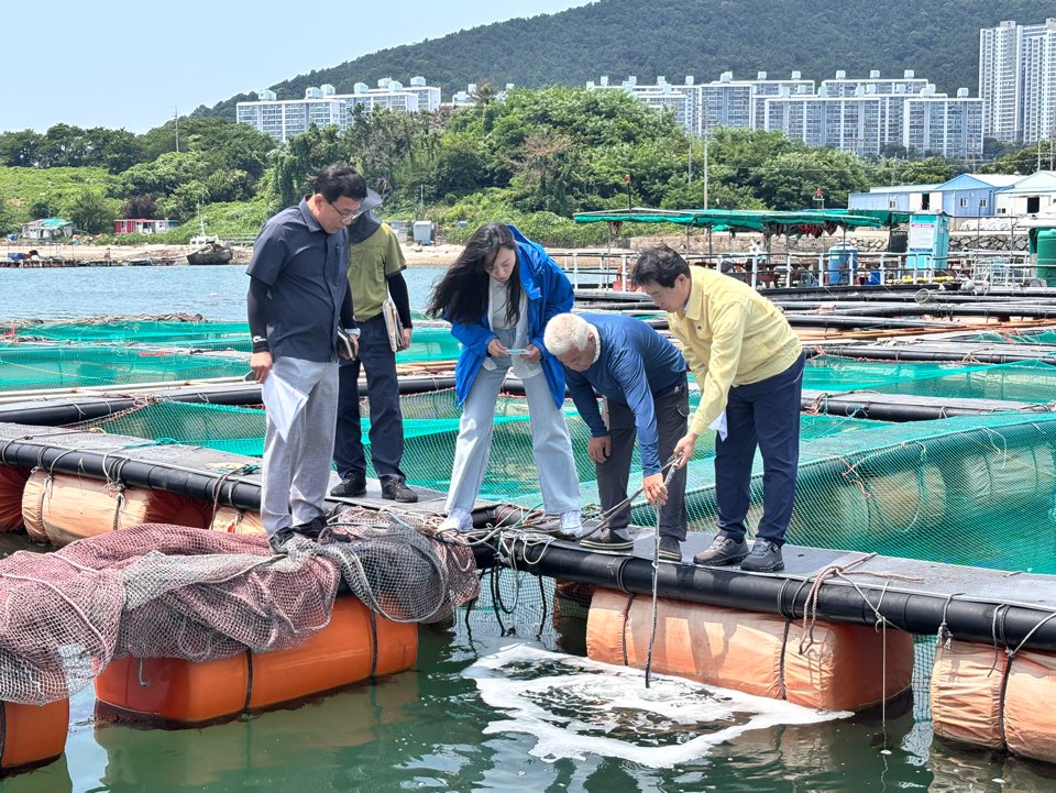 여수시, 고수온 피해 예방 총력 대응