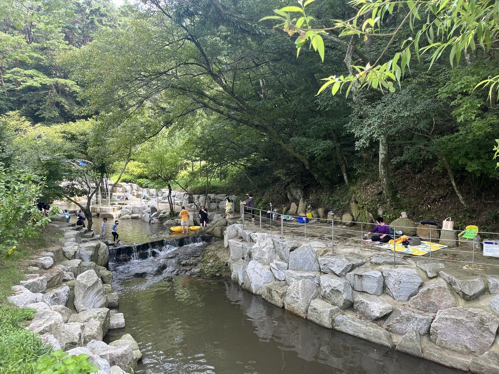 영광 유일의 계곡, 대마 안골 7월 19일 개장