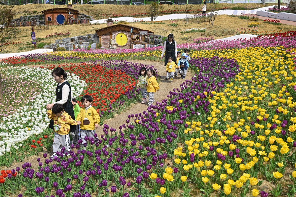 세천늪테마정원, 대구시 제1호 지방정원 등록