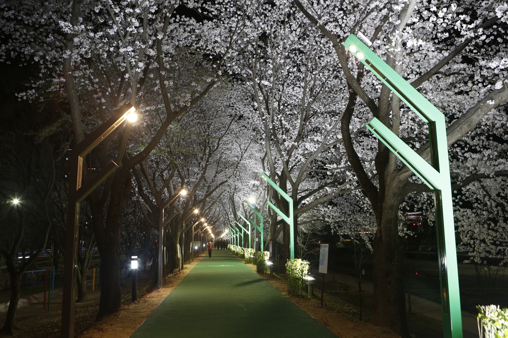 상주시, 북천 산책로에 쿨링포그 시스템 가동