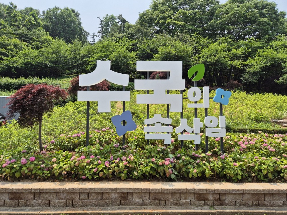 부천시, 여름 수국으로 계절꽃 명소화 추진