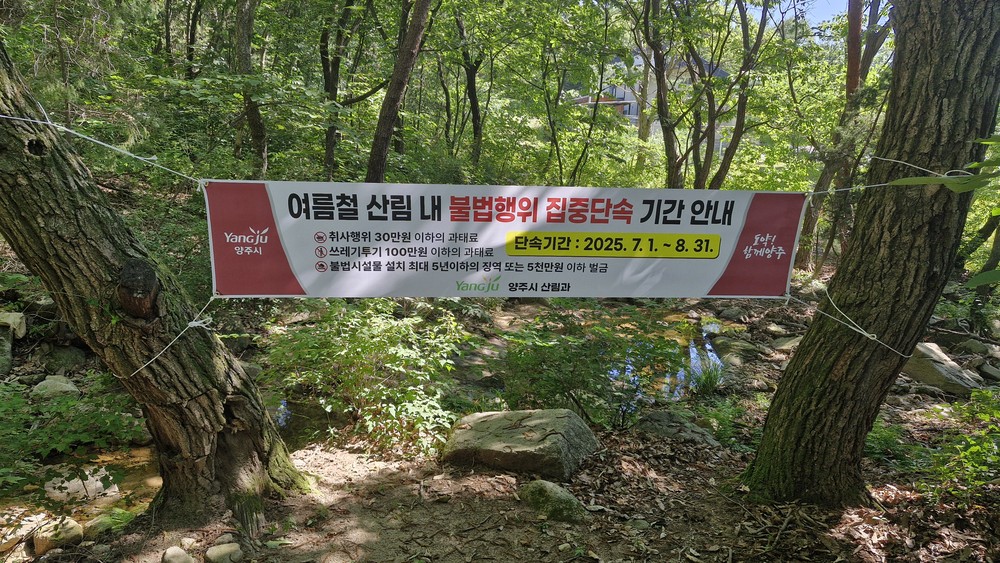 양주시, 여름철 산림 불법행위 집중단속 실시