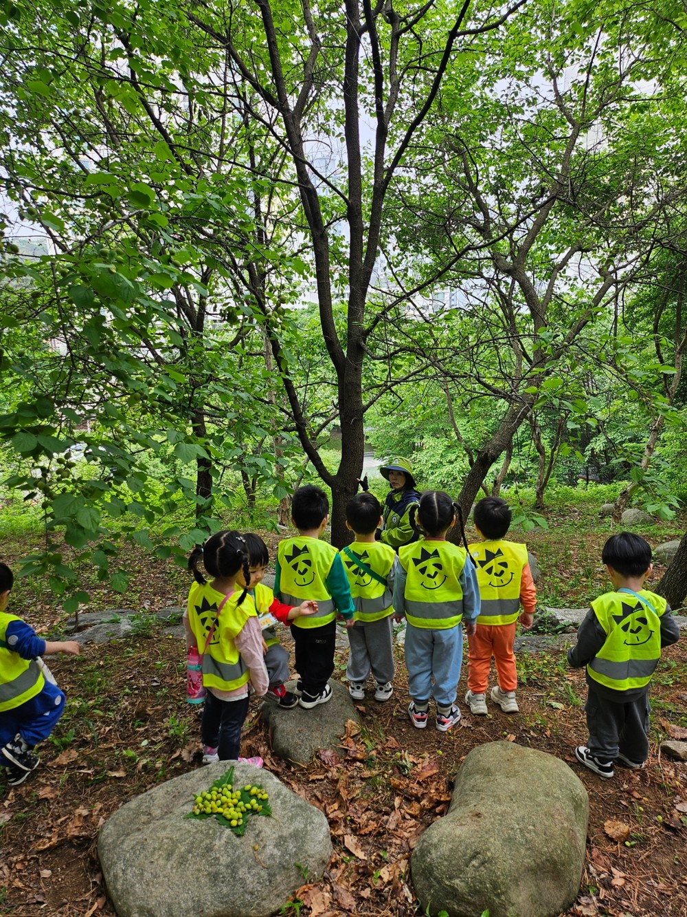 용인특례시, 하반기 유아숲체험 프로그램 참여기관 모집