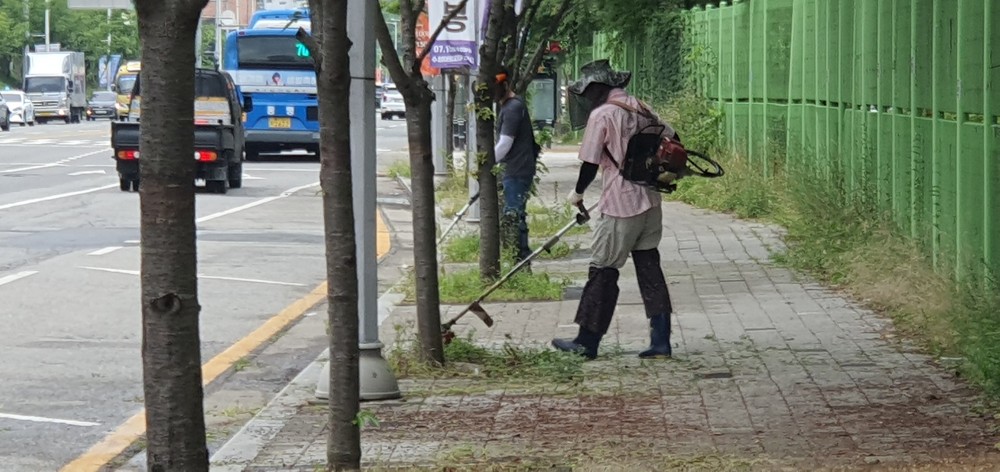 국우동, 여름철 잡풀 제거로 쾌적한 마을환경 조성