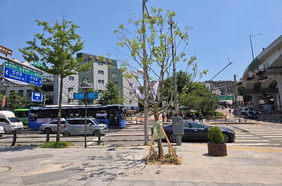 서대문구, 교통섬·횡단보도에 그늘목과 한뼘정원 조성