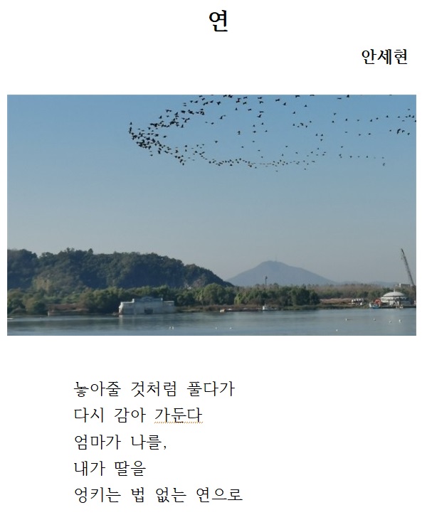 보은군, 제6회 오장환 디카시 신인문학상에 안세현 씨 작품‘연緣’선정