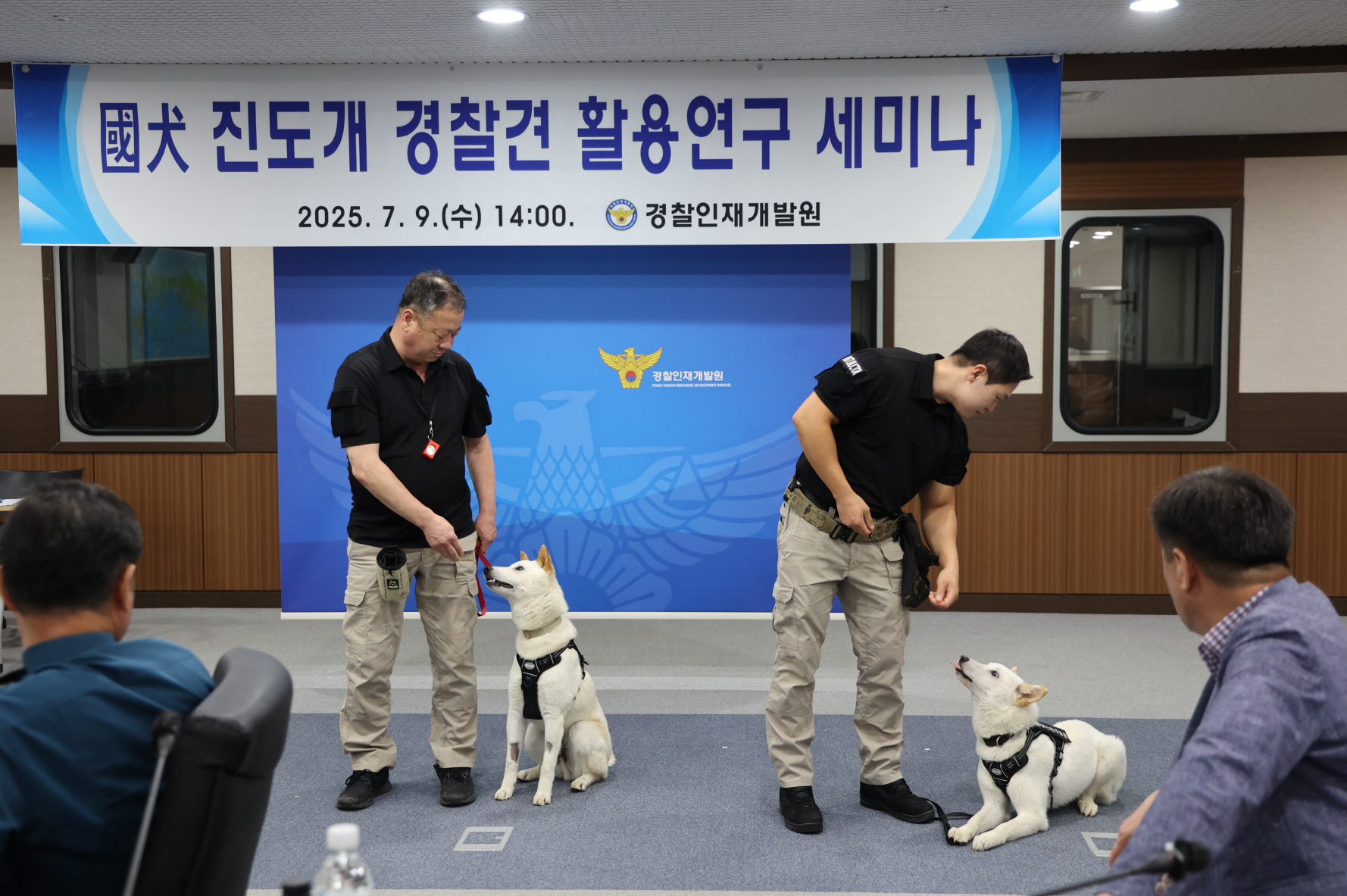 진도개, 대한민국 최초! 경찰견으로서 가능성 확인