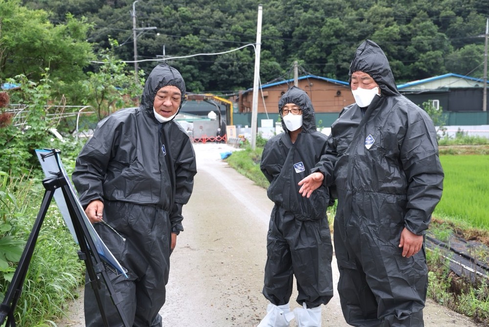 파주시, 아프리카돼지열병(ASF) 추가 확산 저지 위한 방역에 총력