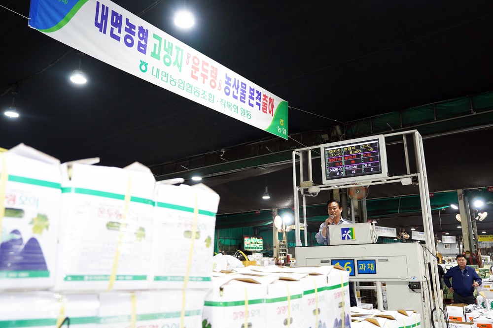 신영재 홍천군수, 가락동 경매시장 방문해 내면 농업협동조합·작목회 격려 및 유통현장 마케팅 실시