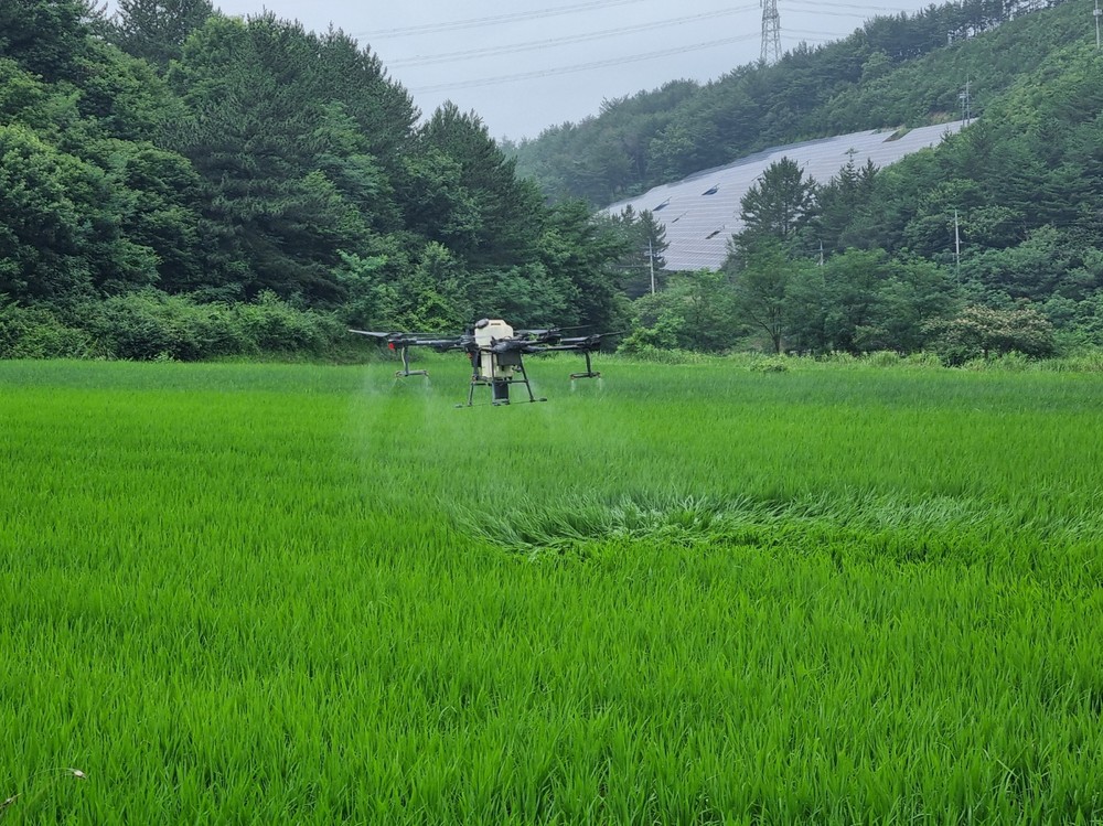하동군, 벼 병해충 공동방제로 선제적 총력 대응