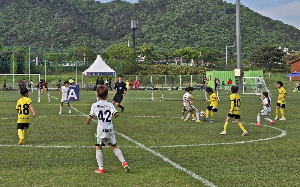 경주시, ‘2025 화랑대기 전국 유소년 축구대회’ 개최…역대 최대 규모