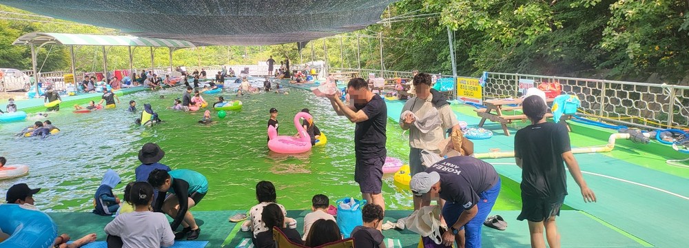 고흥군, 무더위 탈출! 팔영산 자연휴양림 물놀이장으로 떠나요!