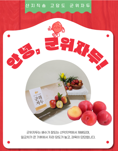 “더 달콤하게, 더 건강하게”군위 자두, 
프리미엄 과일로 전국 입맛 사로잡다!