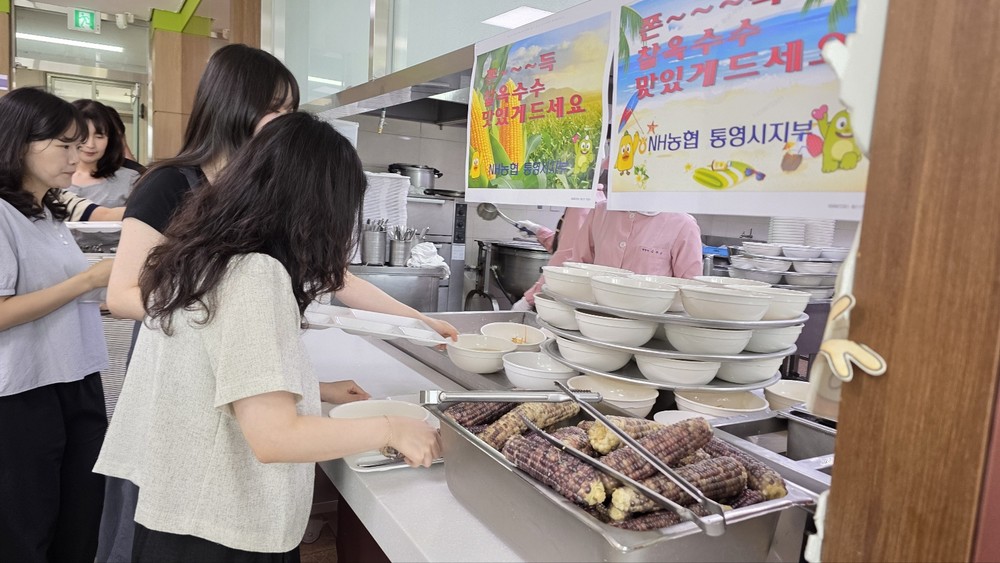 통영 한산 황토 찰옥수수 통영시청 구내식당서 홍보