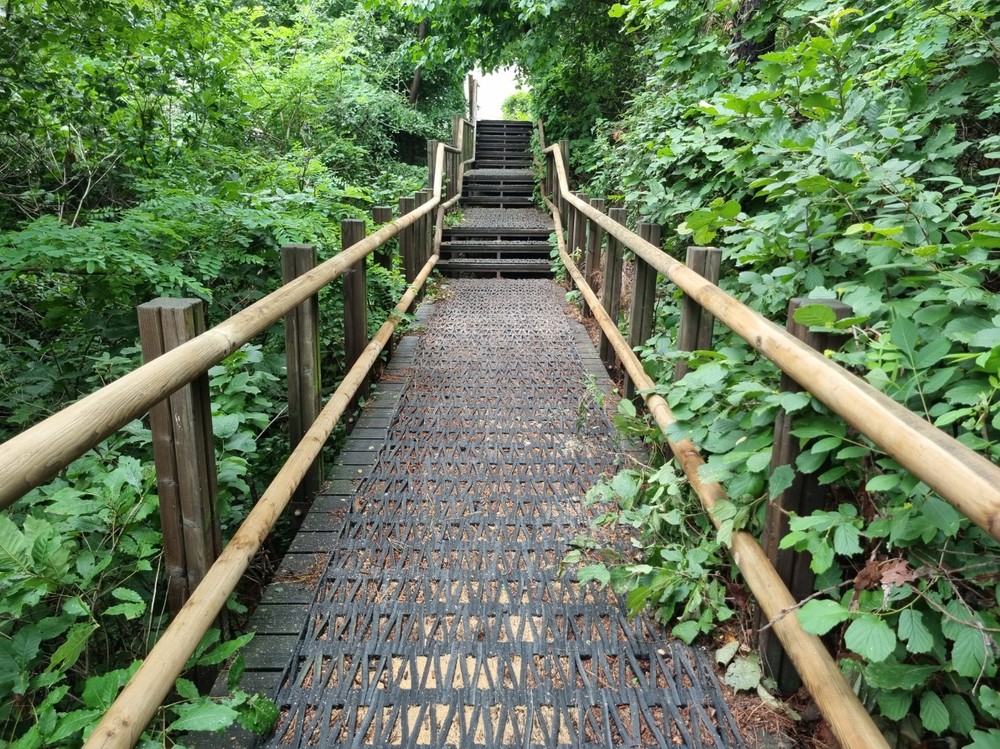 남동구, 오봉산·소래산·만월산 등 주요 등산로 정비