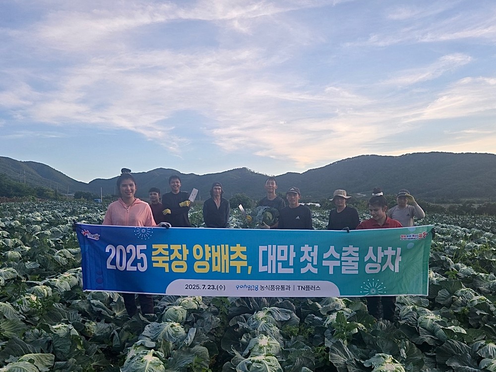 올해 첫 수출길 오른 포항 죽장 양배추, 대만 시장 공략 본격화