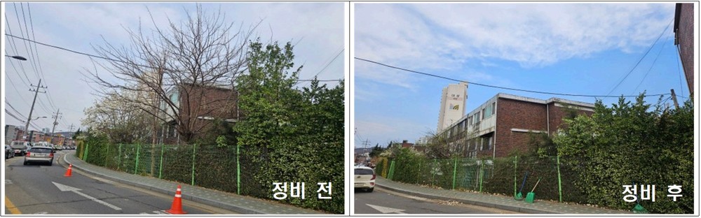 구로구, ‘생활주변 위험수목 처리 지원’ 하반기 접수 시작