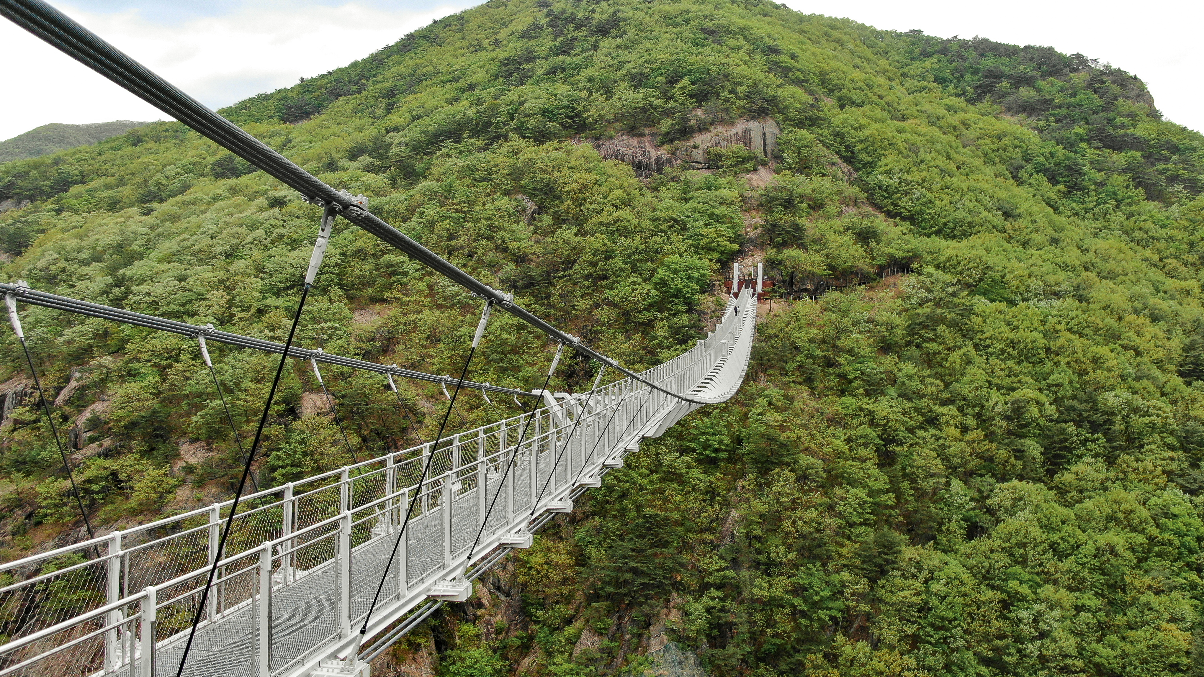 진안에 80km 명품 숲길 생긴다… 산악트레킹 코스 조성‘속도’