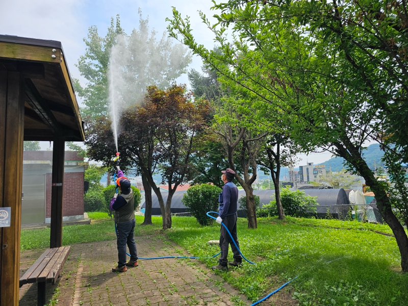 용인특례시, 산림 인근 지역 미국흰불나방‧대벌레 등 방제