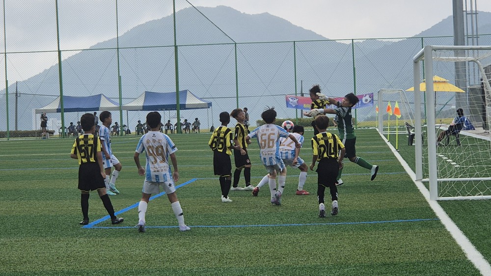 괴산군, ‘2025 자연울림괴산 유소년축구 패스티벌’ 성황리 마무리