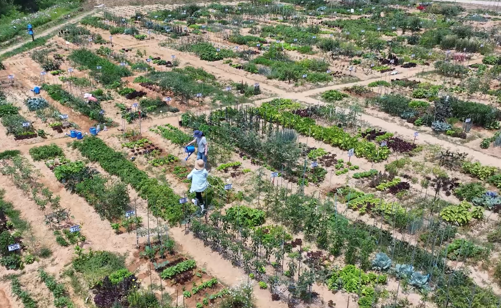 용인특례시, 어린이부터 전문가까지 ‘도시농업 교육생’ 모집