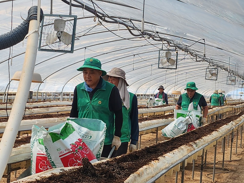 새마을운동 남해군지회, 산청군 수해복구에 구슬땀