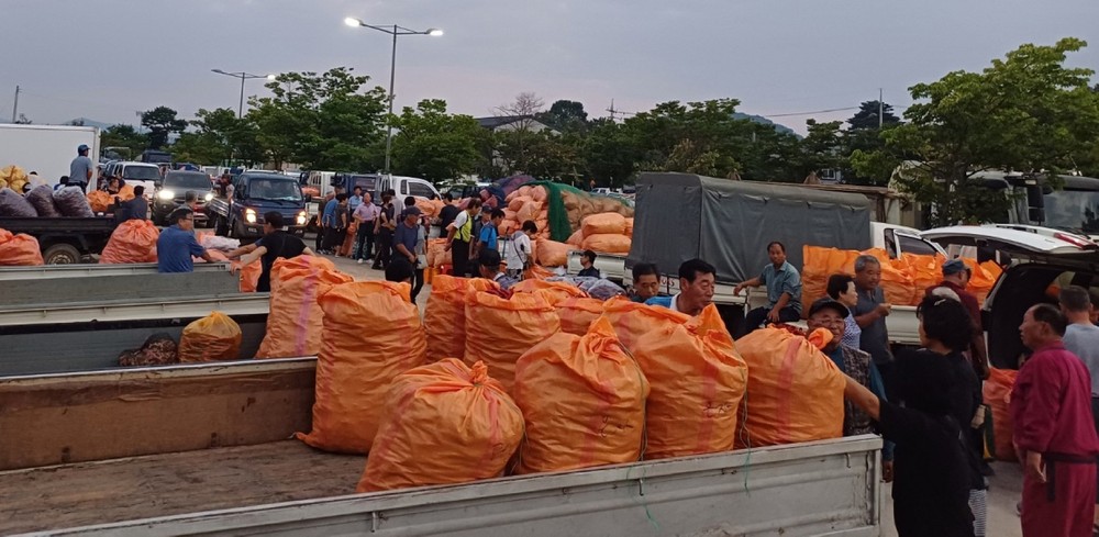 부여 고추시장, 2025년 시즌 본격 개장