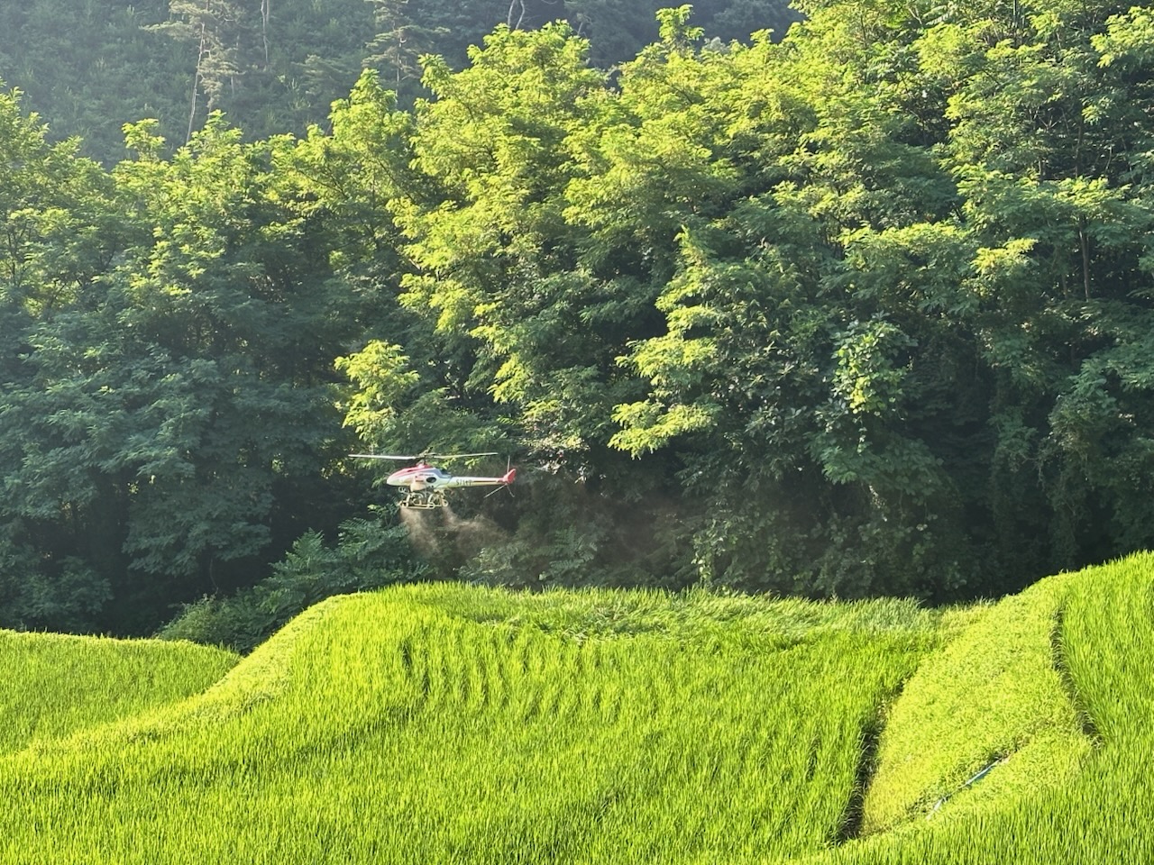 진천군, 벼 생육 중기 병해충 약제 공급과 공동 방제 실시
