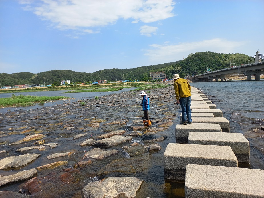 양양군, 피서철 내수면 불법어업 지도 및 단속 실시