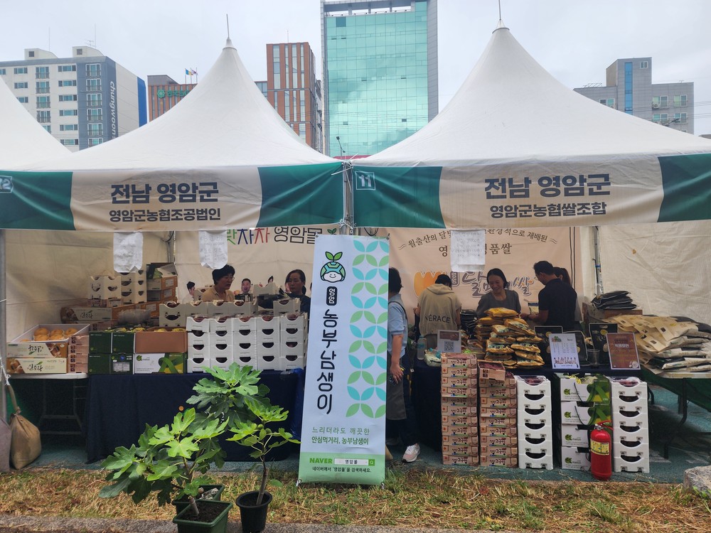 영암군, 삼호읍 도로변에 무화과 직거래장터 시범운영