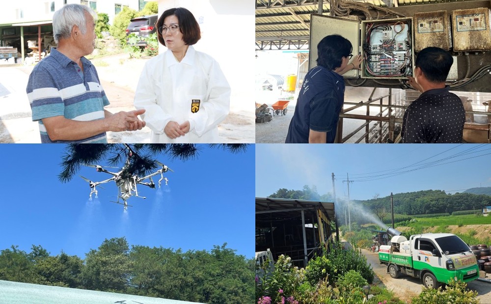전국 최대 축산지역 안성시, 가축 지키기 위한 폭염 대응 총력전 펼쳐