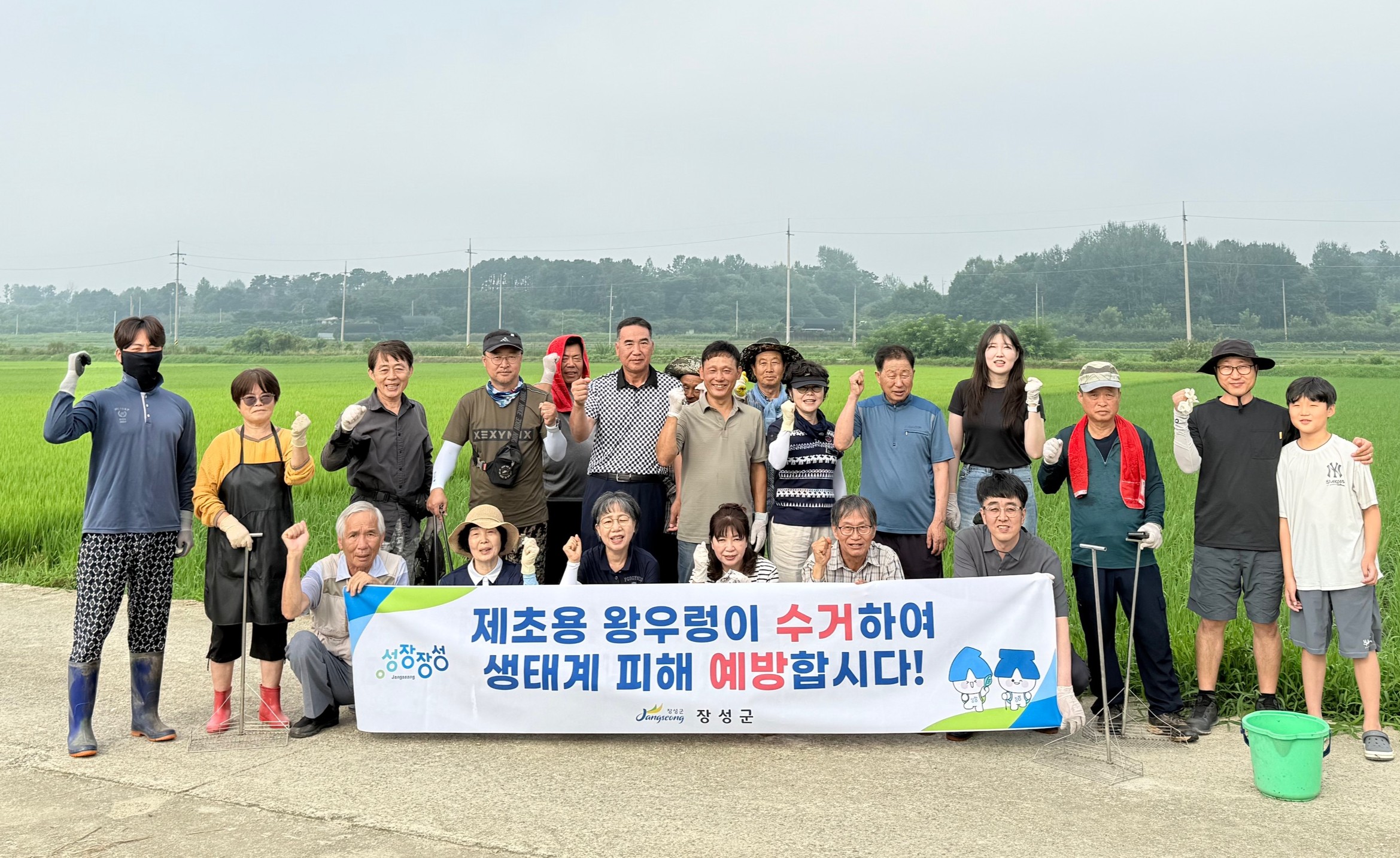 장성군, 8월까지 왕우렁이 집중 수거