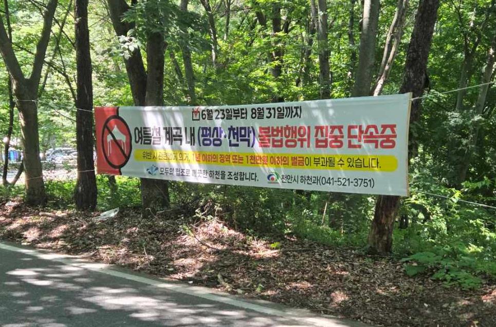 천안시, 계곡 불법행위 합동단속…불법행위 108건 적발