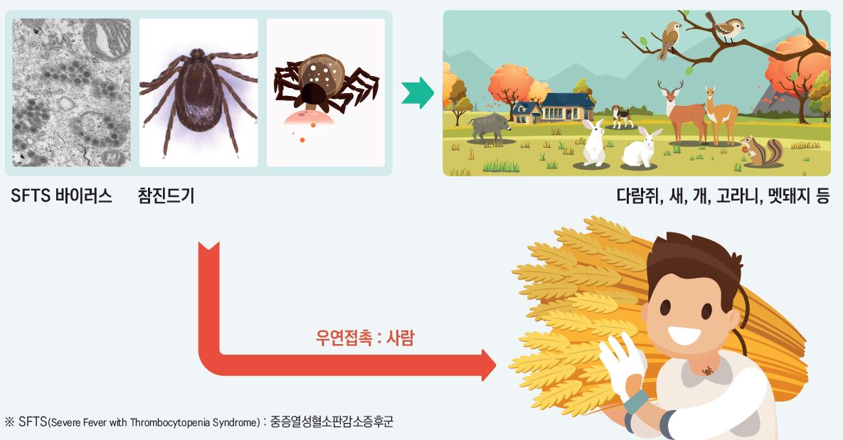 홍천군, 올해 첫 참진드기 SFTS 사망자 발생