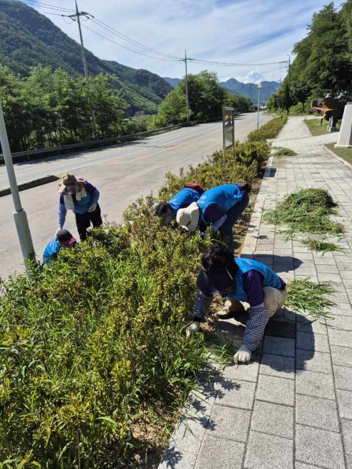 미탄면, 굿매너 문화시민운동 본격 시행