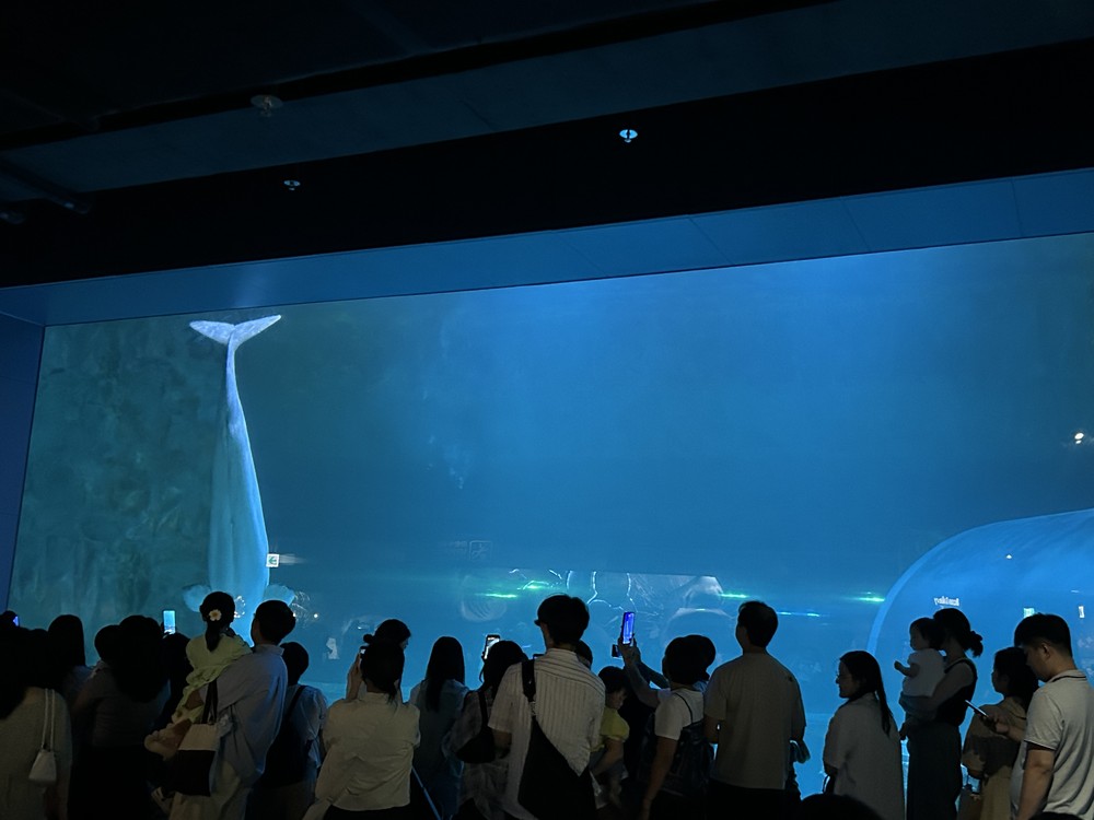 동두천시 드림스타트, 롯데월드타워 서울스카이, 아쿠아리움 체험학습 진행