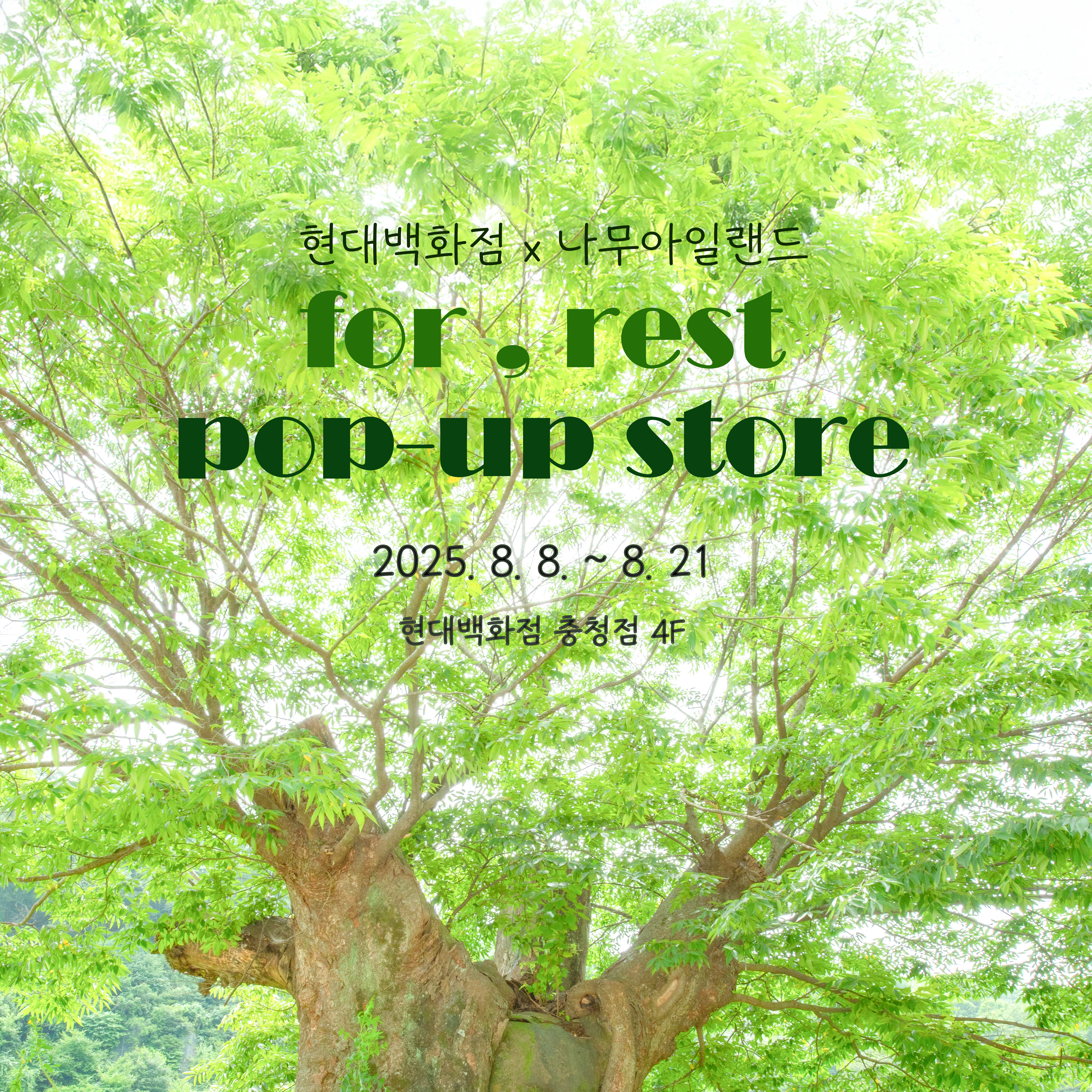 충북콘텐츠코리아랩×현대백화점 충청점 팝업스토어 2탄 ‘나무 아일랜드’에서 숲캉스 즐겨요!