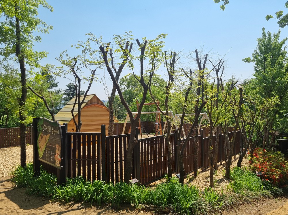 성남 원도심에 문 연 새 놀이터, 도심 속 아이들 쉼터로 인기