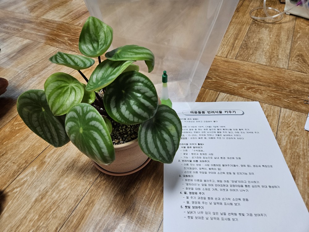 증평군 치매안심센터, 치매어르신‘마음돌봄’을 위한 반려식물 지원