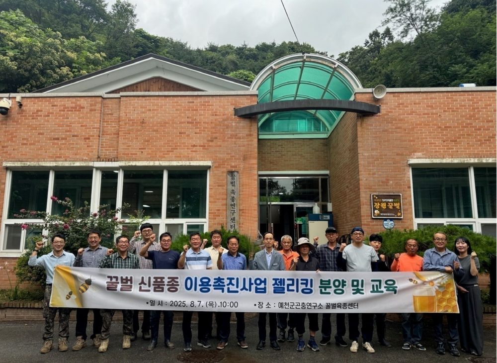 예천군 곤충연구소, 꿀벌신품종 ‘젤리킹’ 농가분양