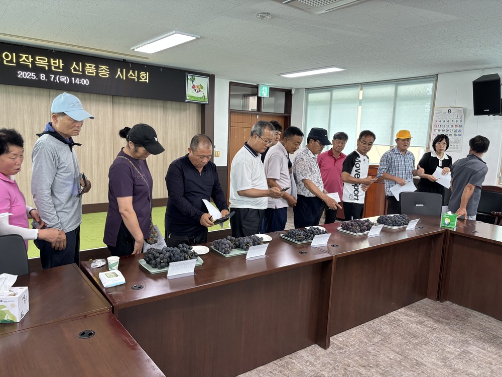 군서면샤인작목반, 포도 신품종 시식회 개최