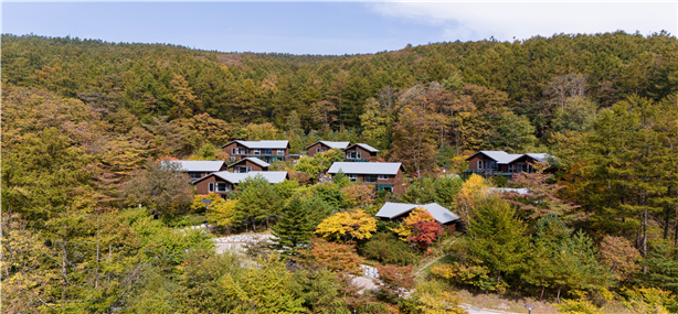 숲길 따라 건강과 힐링을 - 국립횡성숲체원, ‘산림치유 트레킹 캠프’ 운영