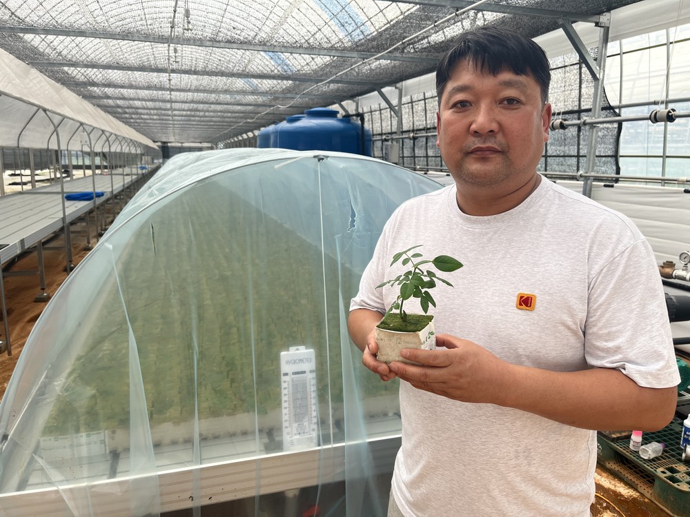 강진군, 스마트팜 지원으로 청년농업인의 꿈에 기술을 더하다!