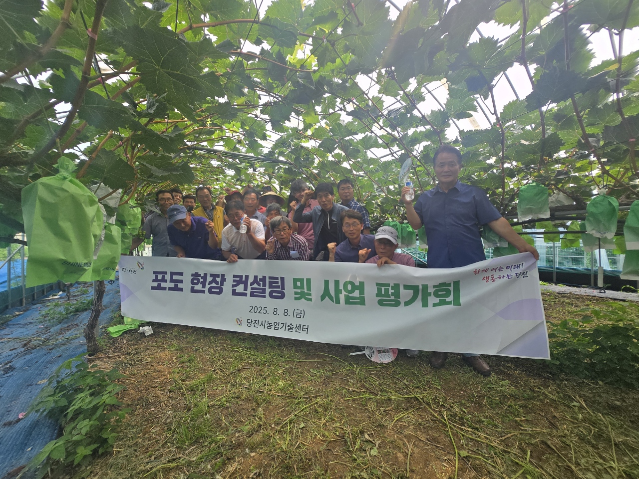 당진시, 고품질 포도 생산을 위한 현장 컨설팅 및 사업 평가회 추진