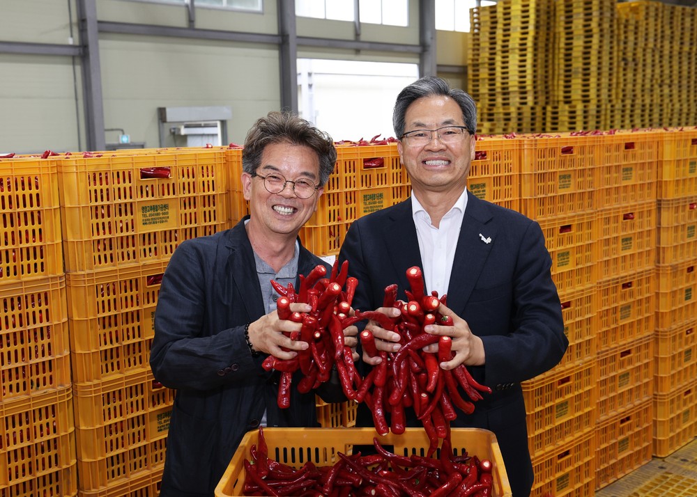 영양군, 2025년산 홍고추 수매 본격 시작