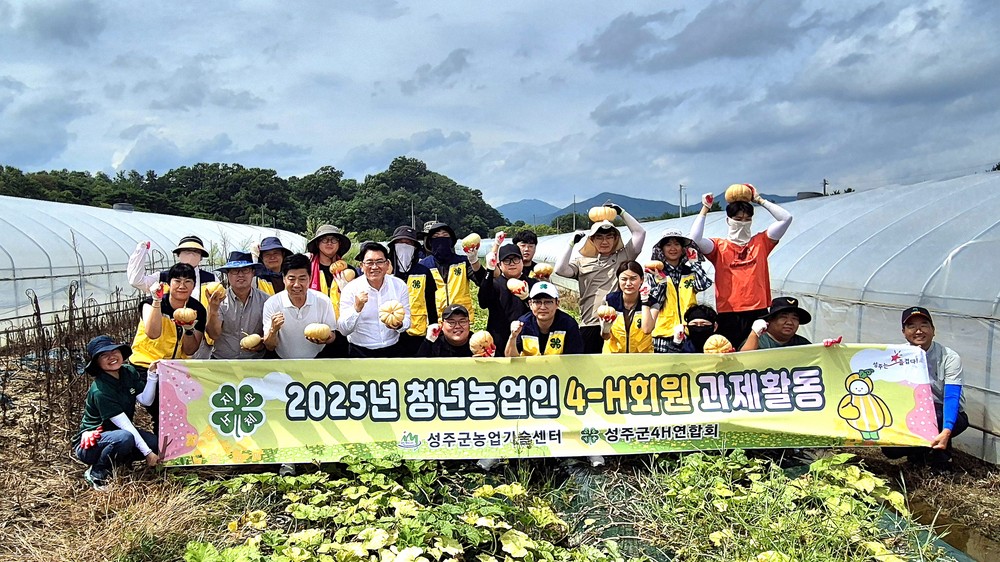 성주군4-H연합회, ‘사랑의 호박’수확, 땀의 결실!