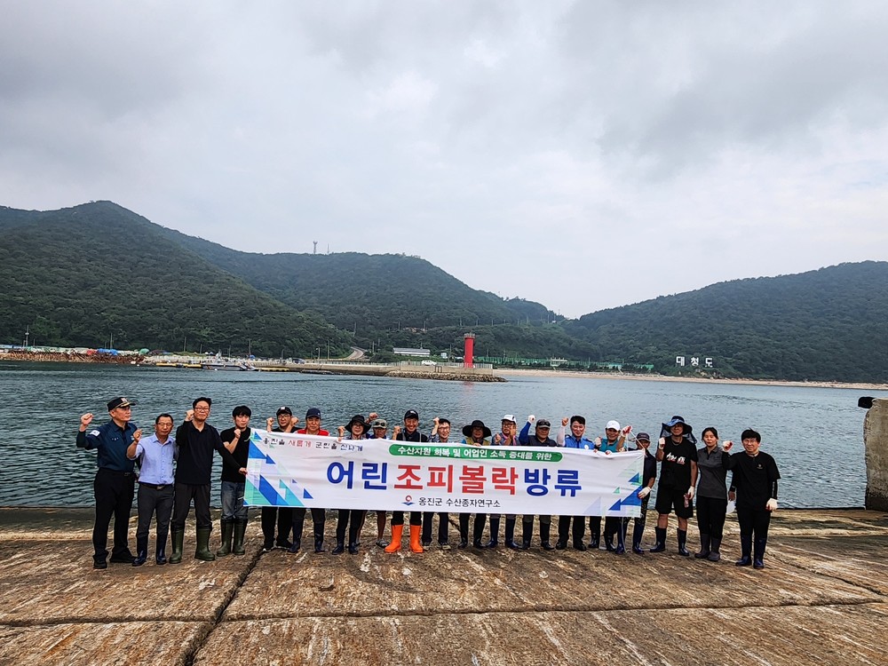옹진군 수산종자연구소 어린 조피볼락 20만 마리 방류