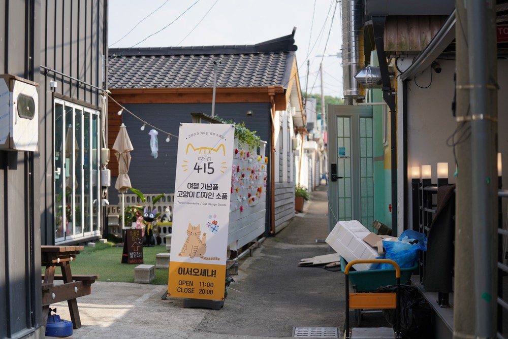 속초 조양동 새마을, 과거와 현재의 조화로 인기 급상승