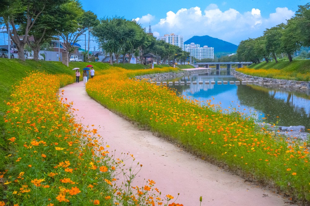 순창 양지천, 사계절 꽃길 품은 관광 명소로 발돋움!!