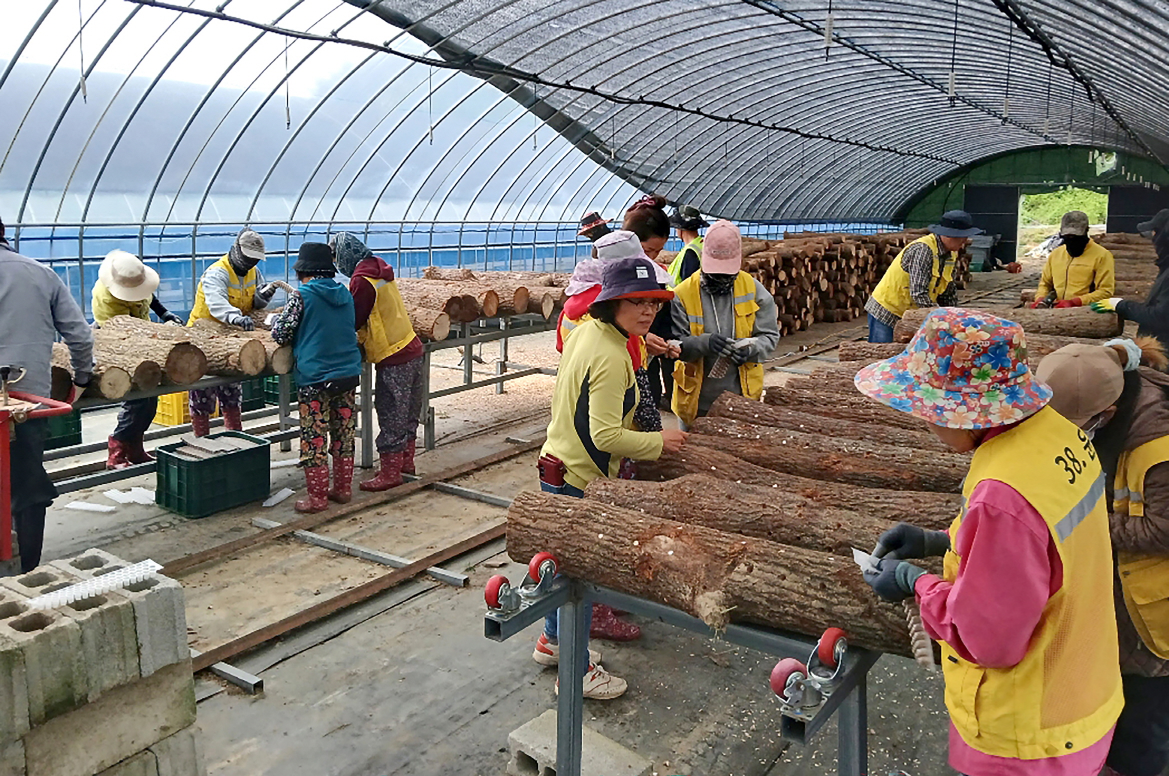 순창군 공공형 계절근로자,‘호평’에 힘입어 근무 연장